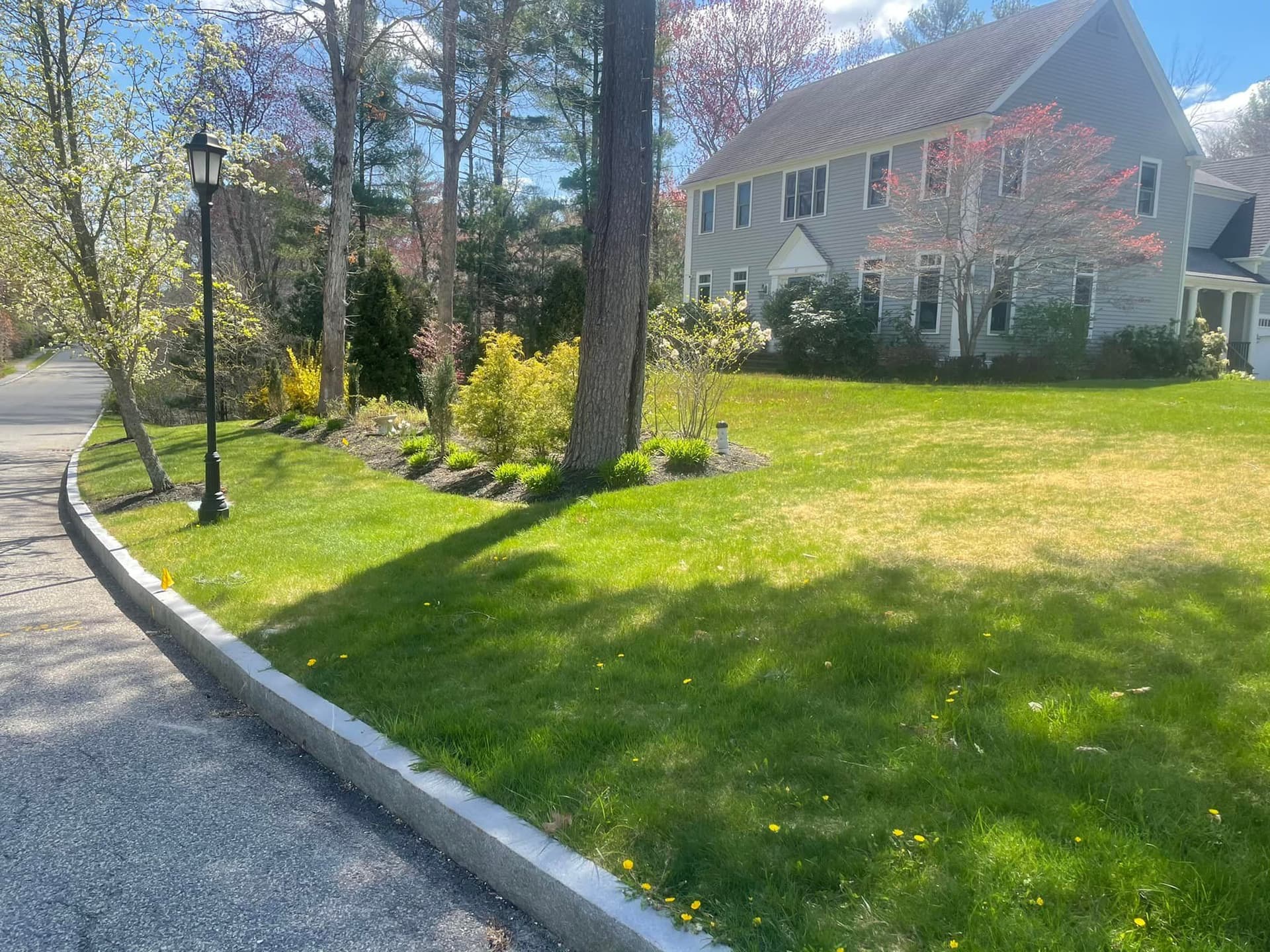 Enhancing Curb Appeal with Expert Mulch Installation
