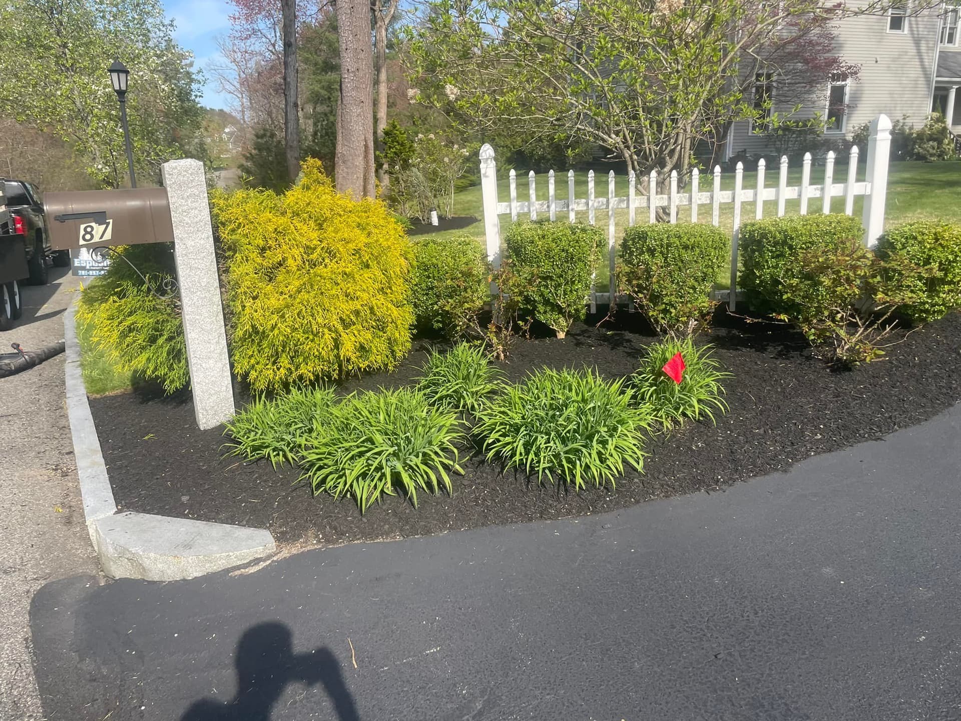 Enhancing Curb Appeal with Expert Mulch Installation
