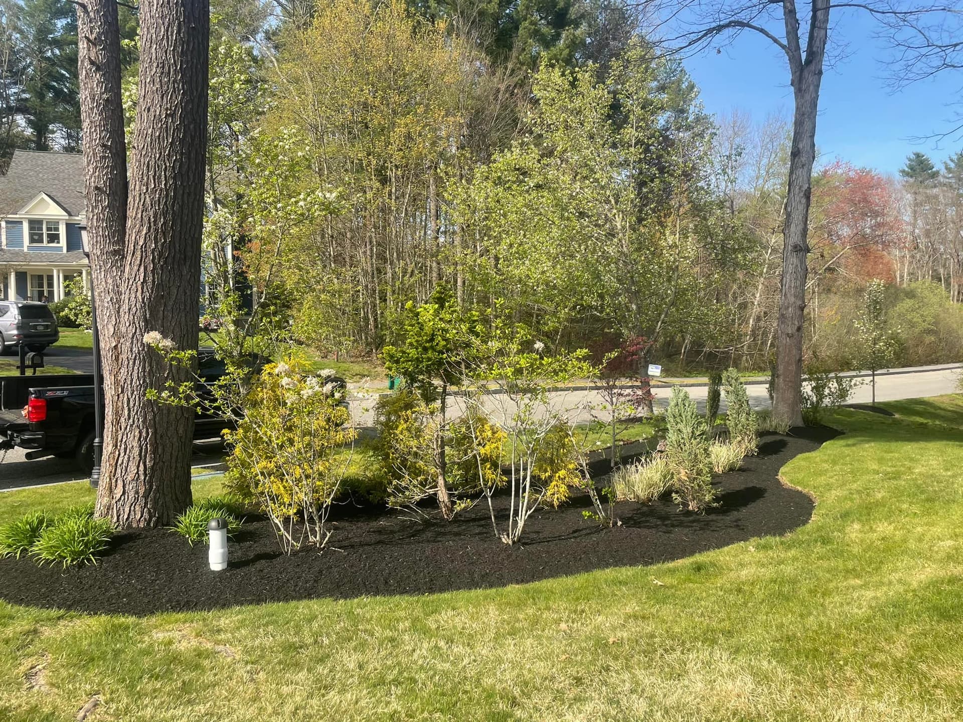 Enhancing Curb Appeal with Expert Mulch Installation