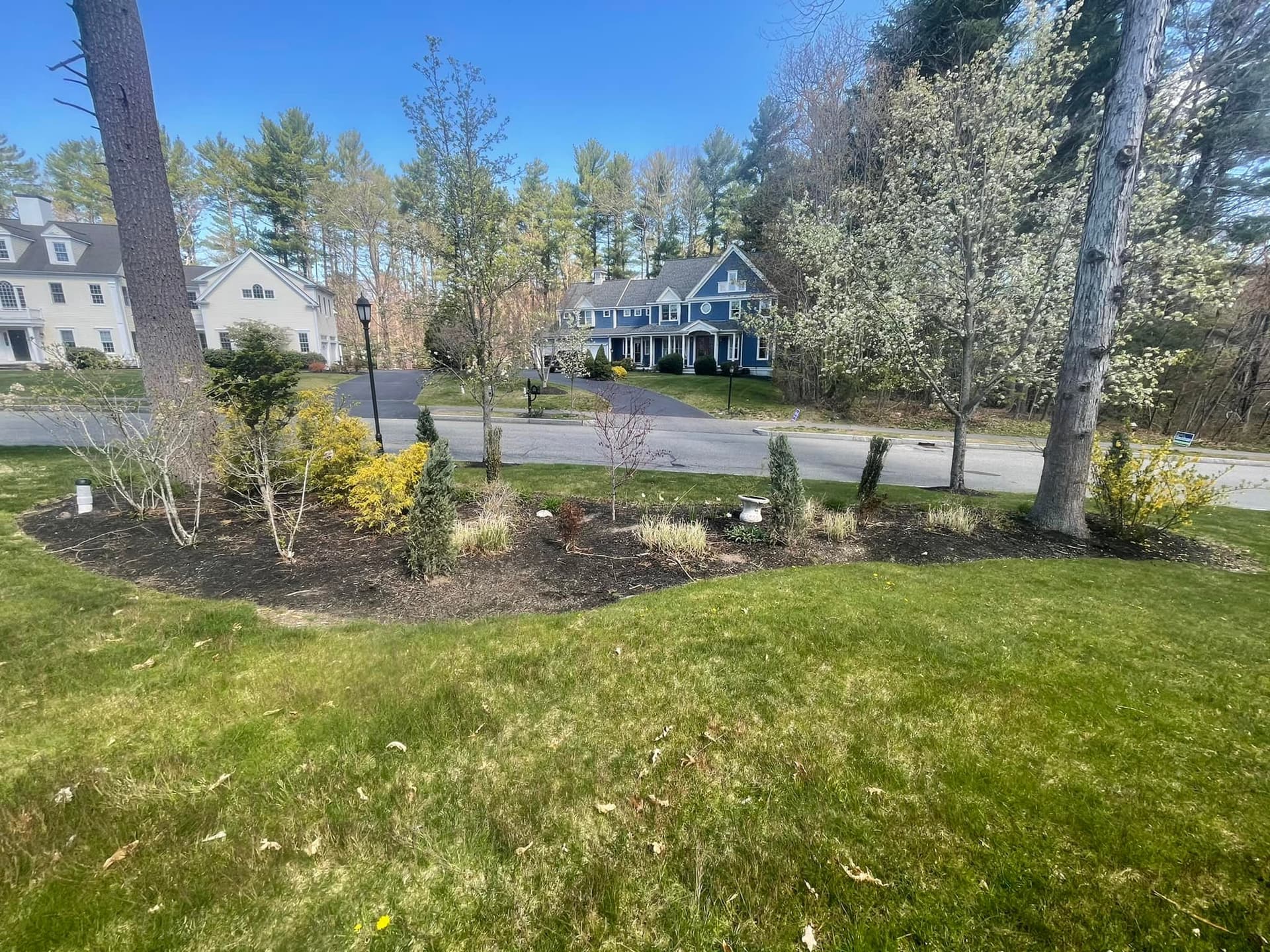 Gallery photos for Enhancing Curb Appeal with Expert Mulch Installation: Image #7